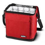 FlexiFreeze 12 Can Cooler with Built in Ice