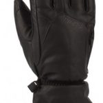 Gordini Mens Leather Goose III Gloves