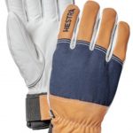 Hestra Army Leather Abisko Gloves