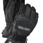 Hestra CZone Mountain Gloves