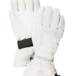 Hestra CZone Powder Gloves