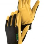 Hestra Golden Kobolt Flex Gloves