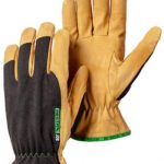 Hestra Golden Kobolt Gloves