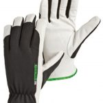 Hestra Kobolt CZone Gloves