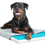 Pet Therapeutics TheraCool Gel Cell Cooling Pad with Tri Core Charcoal-Infused Memory Foam