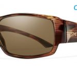 Smith Lifestyle Dockside Sunglasses Havana Chromapop+ Polarized Brown