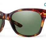 Smith Lifestyle Feature Sunglasses Tortoise Chromapop Polarized Gray Green