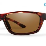 Smith Lifestyle Ridgewell Sunglasses Tortoise Chromapop+ Polarized Brown