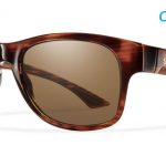 Smith Lifestyle Wayward Sunglasses Havana Chromapop+ Polarized Brown