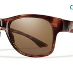 Smith Lifestyle Wayward Sunglasses Havana Chromapop Polarized Brown
