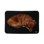 TechNiche Air Activated Heating Dog Pad, Powered by Heat Pax