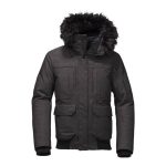 The North Face Men’s Cryos Expedition GTX Bomber