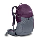 The North Face Women’s Aleia 22 Backpack Bag