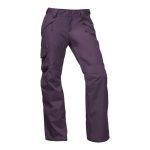 The North Face Women’s Freedom Insulated Ski Pant