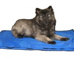 DryKewl Evaporative Cooling Dog Pad – Small