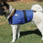 HyperKewl Evaporative Cooling Dog Coat – Large