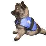 HyperKewl Evaporative Cooling Dog Coat – Small